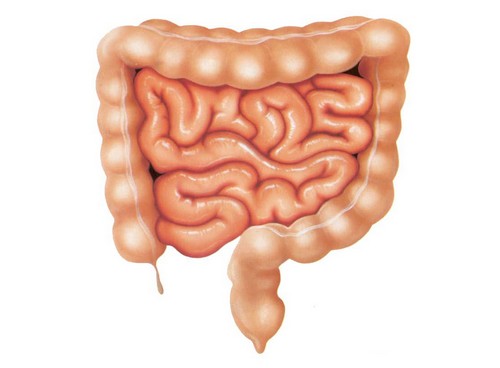 Острый энтерит