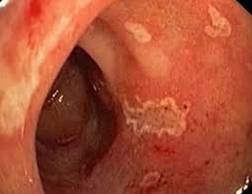 Как выглядит