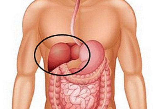 Диффузные изменения печени – причины возникновения, диагностика, терапия
