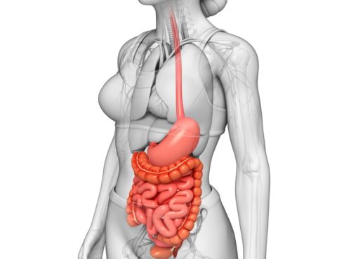Слизистая пищевода – заболевания, симптомы и отзывы