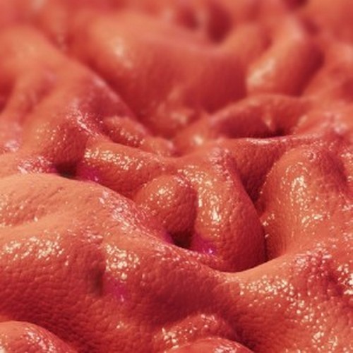 Вирус колита и энтерита