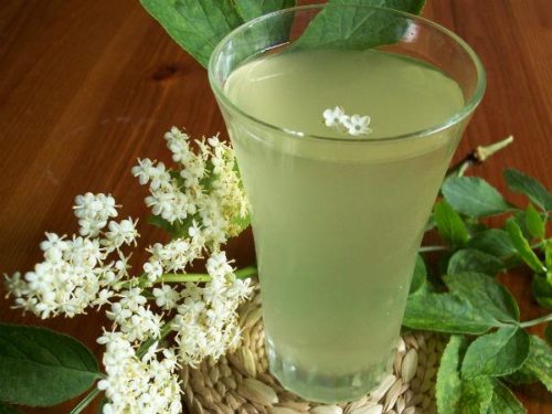 Настойка из цветков бузины