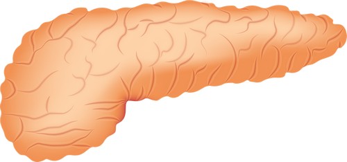 Правильный образ жизни после удаления поджелудочной железы