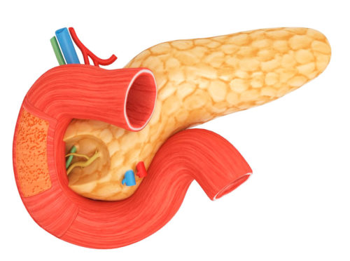 Диагностика заболеваний поджелудочной железы